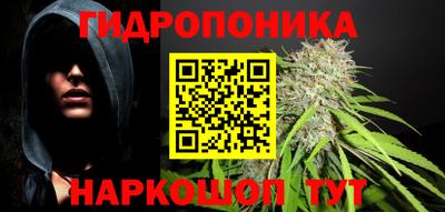 прущие грибы Шебекино