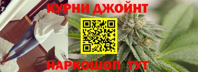 прущие грибы Шебекино