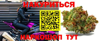 прущие грибы Шебекино
