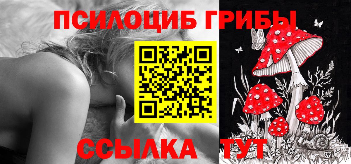 Кимовск  наркота  Вход с VPN  Галлюциногенные грибы MAGIC MUSHROOMS 