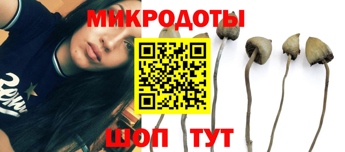 Галлюциногенные грибы Cubensis Кимовск