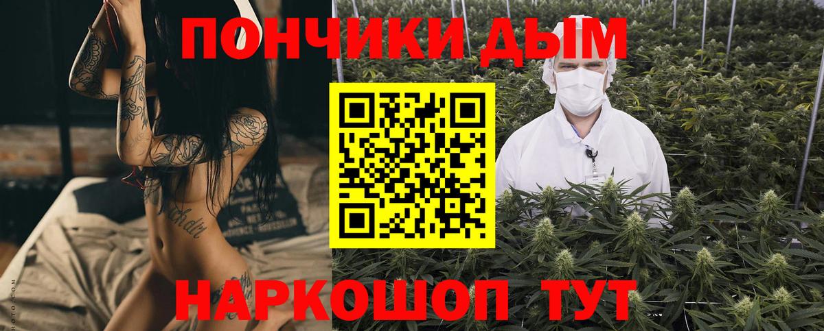 Кимовск  Бошки марихуана план  Бошки Шишки марихуана  Шишки марихуана Amnesia  Вход с VPN  Канабис конопля 
